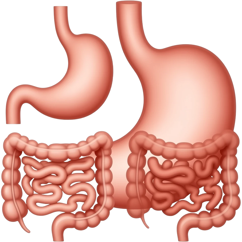 estomago y intestino grueso y delgado emoji
