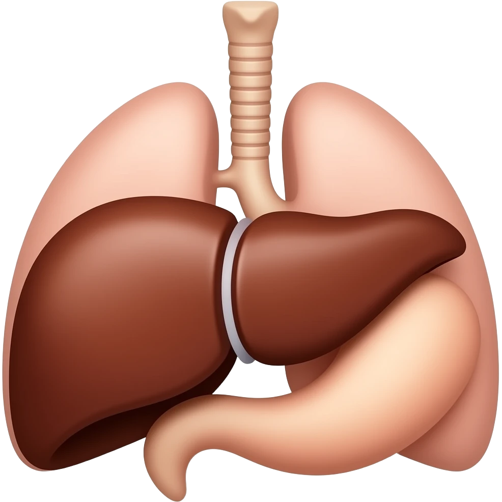 organs emoji