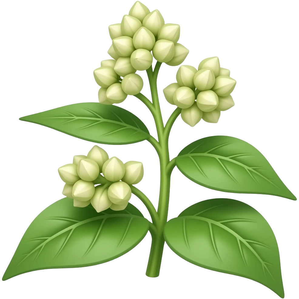 buckwheat emoji