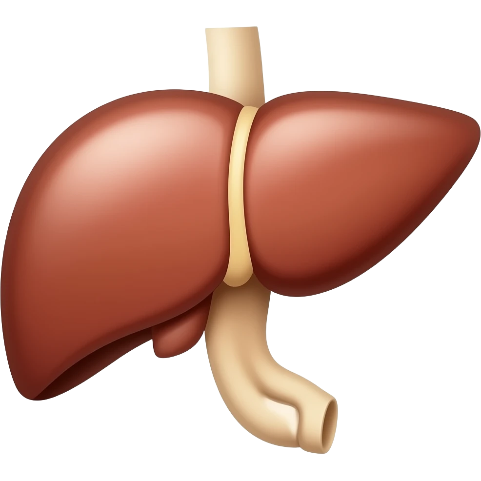 LIVER emoji