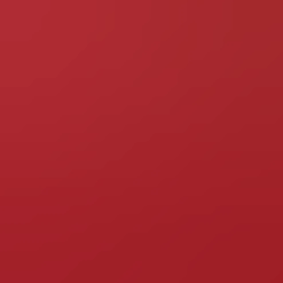 Bold red rose, deep crimson center fading to vivid scarlet edges, tight ...