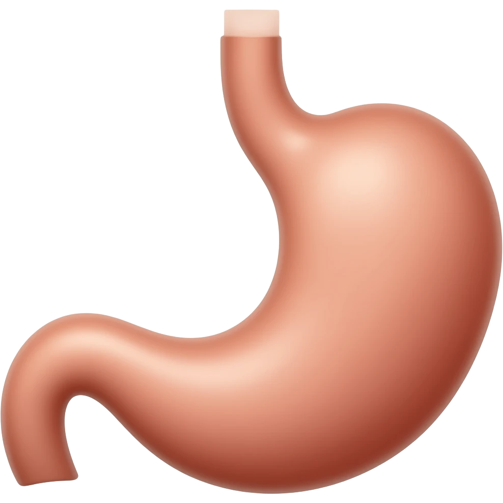 Stomach emoji