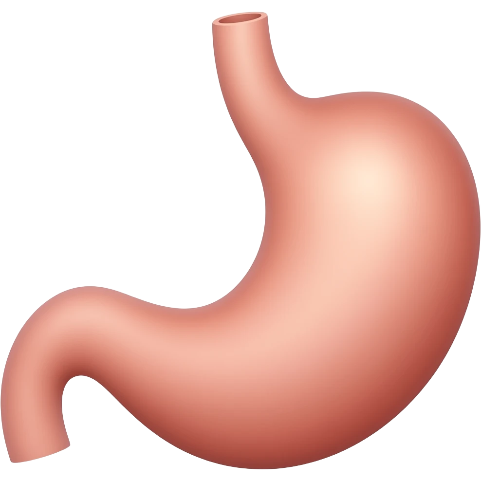 aparato digestivo (solo estomago e intestino) emoji