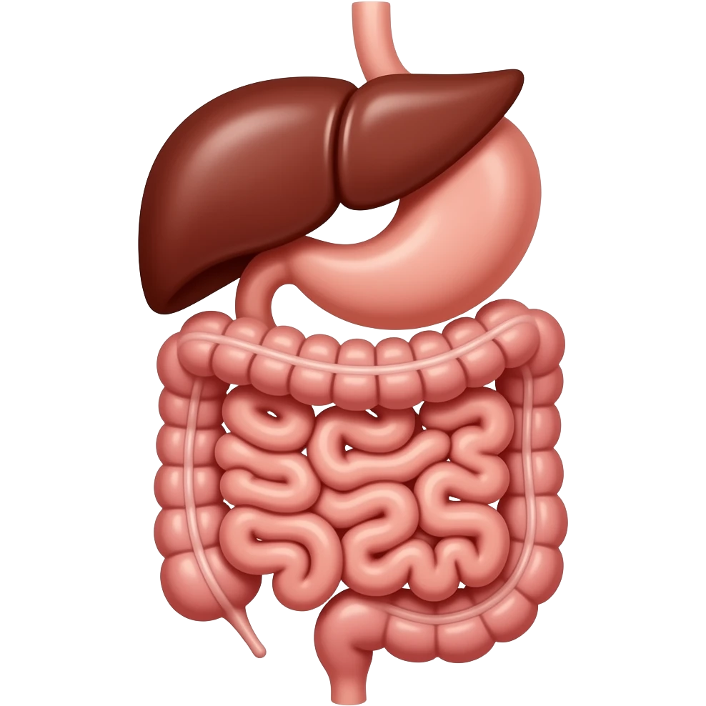 aparato digestivo (si el higado, solo estomago e intestino) emoji