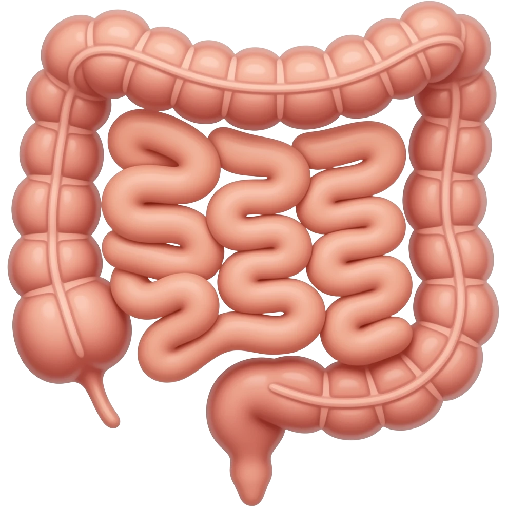big intestine colon ios style emoji
