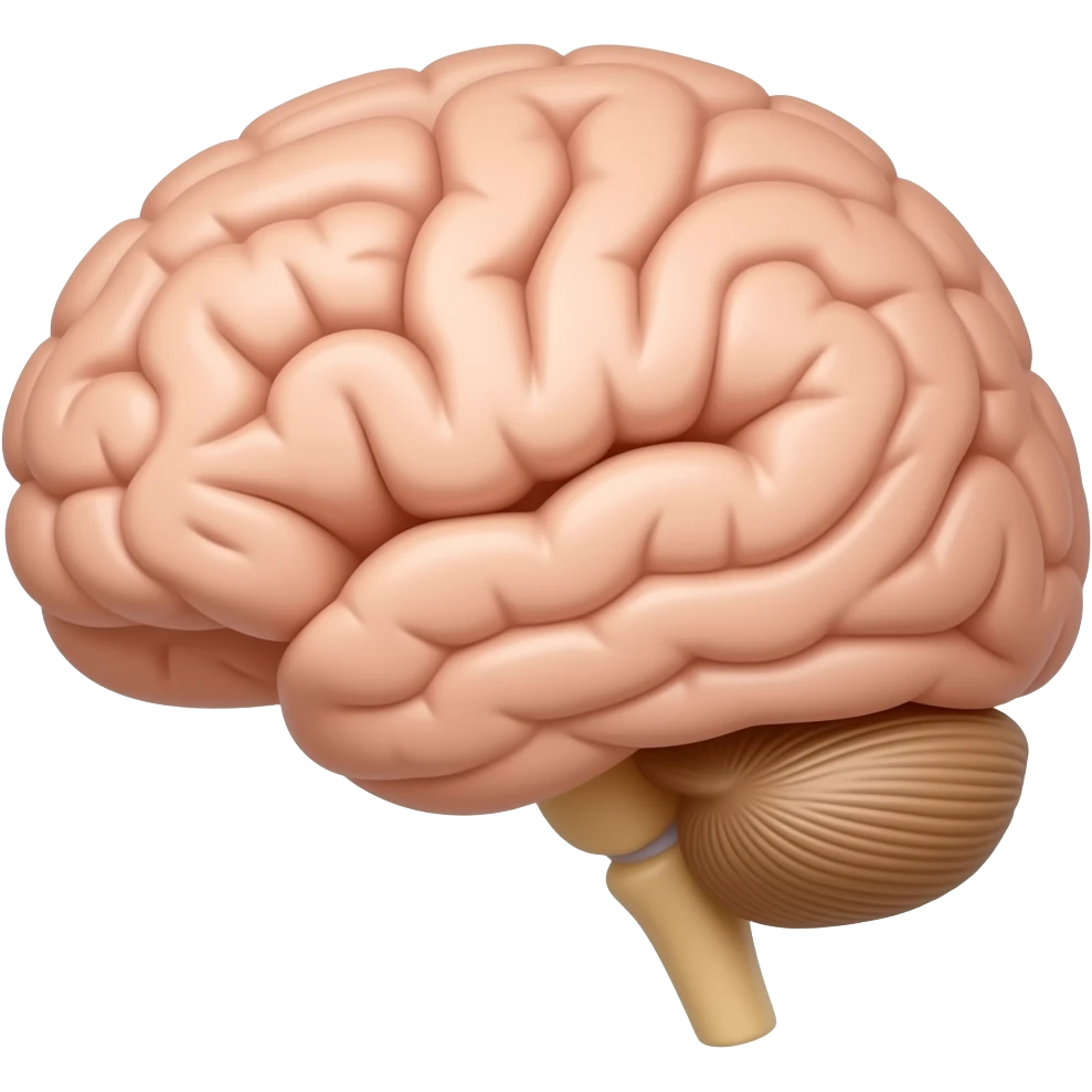 Corpus Callosum emoji