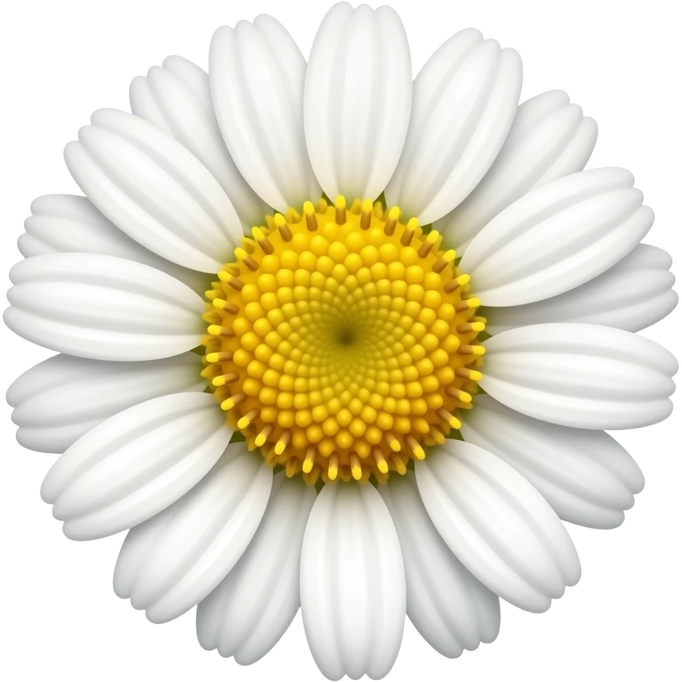 нарисуй цветок senecio erucifolius emoji