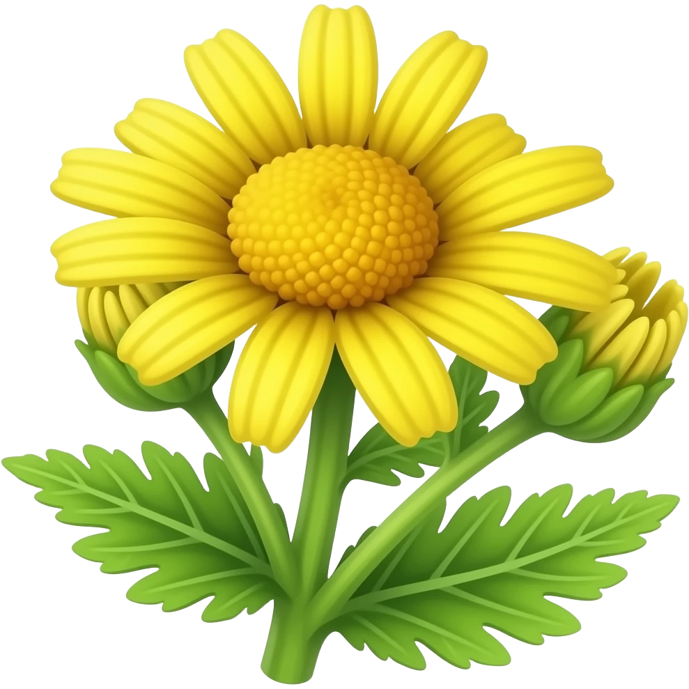 нарисуй senecio squalidus emoji
