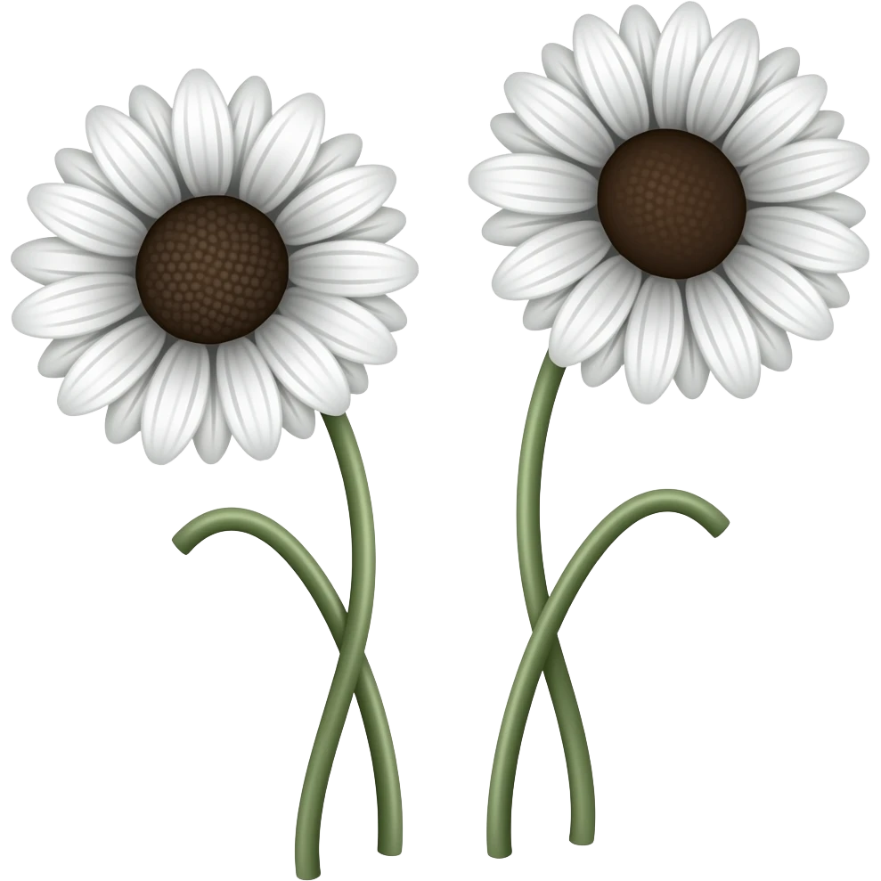 Two delicate daisy-like flowers with soft white petals and dark centers, standing on thin curved stems, dreamy black-and-white film photography, blurry focus, glowing light leaks, nostalgic and ethereal atmosphere emoji