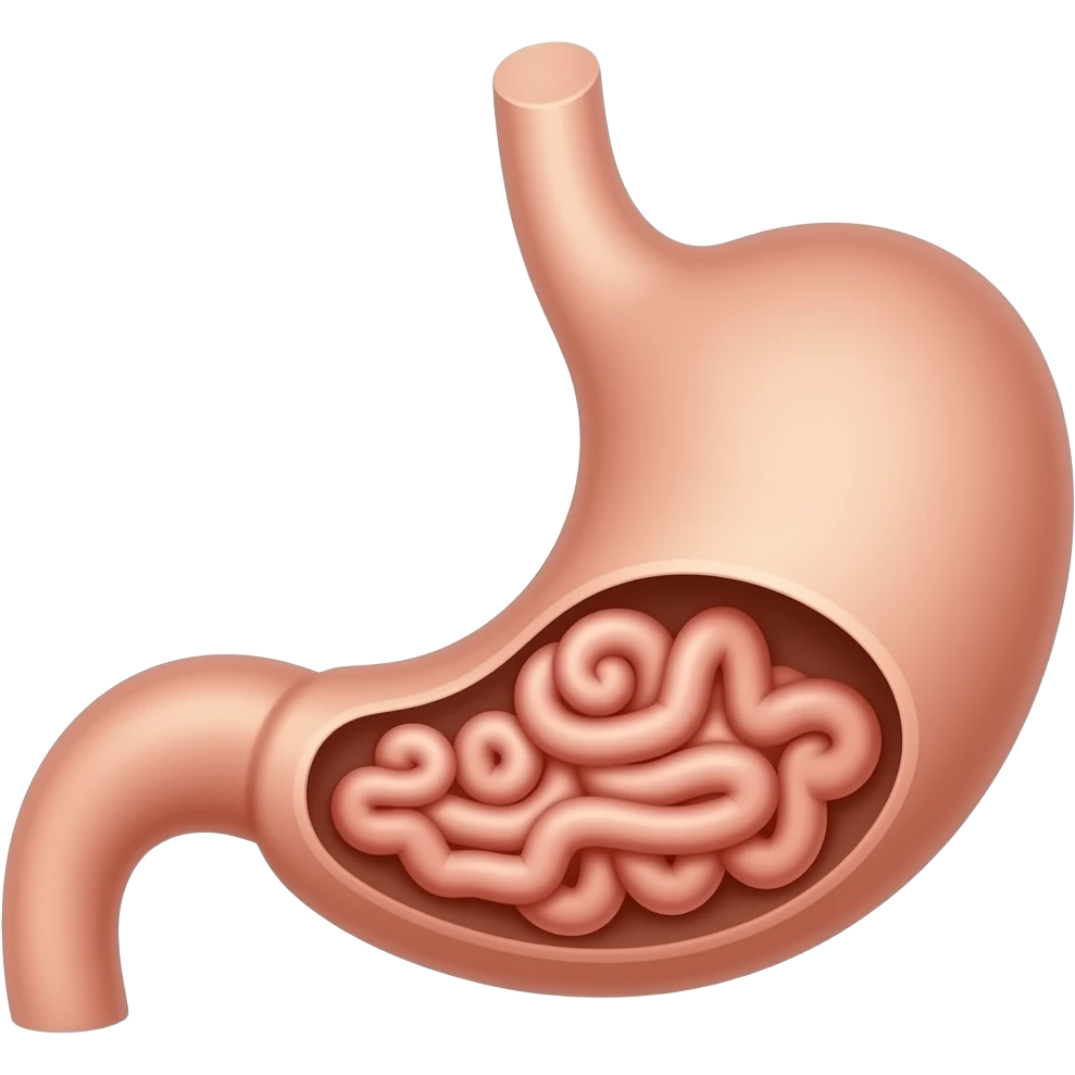 aparato digestivo (estomago y intestino grueso y delgado emoji