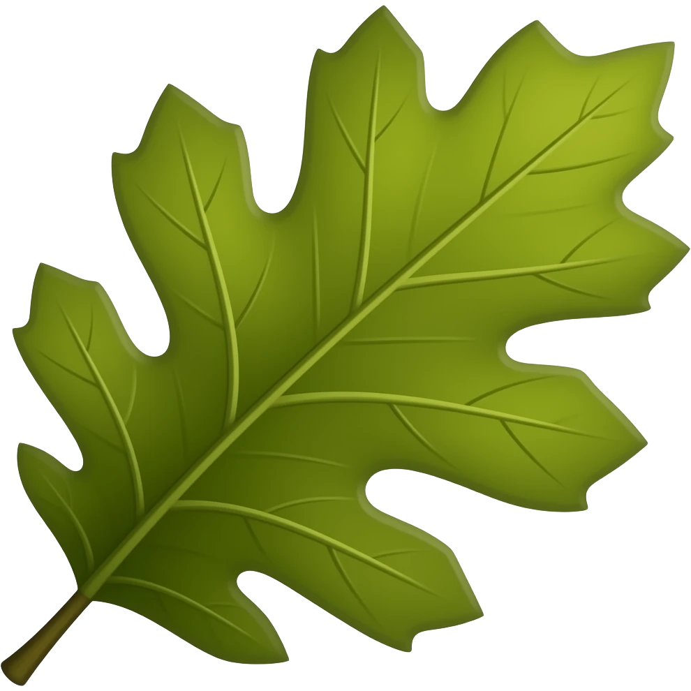 Oak Tree leaf emoji
