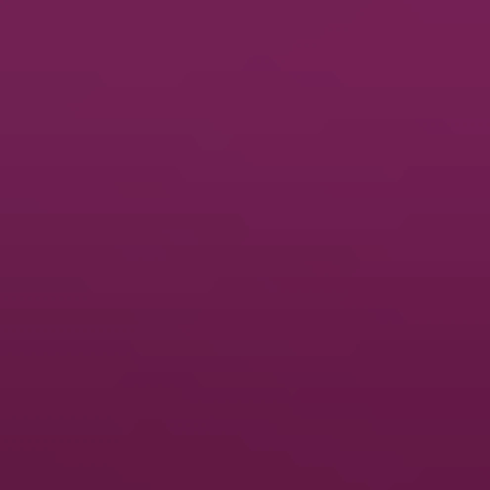 Deep berry-purple rose, Baronesse by Tantau, tight rosette petals ...