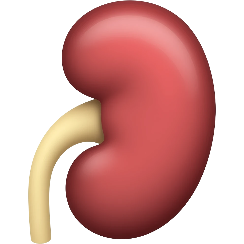 Kidney emoji