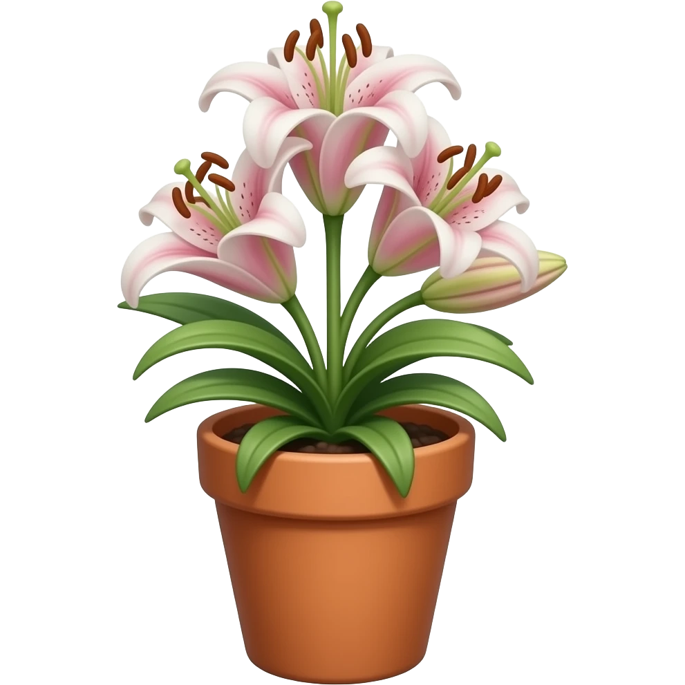 百合花在花盆里 emoji