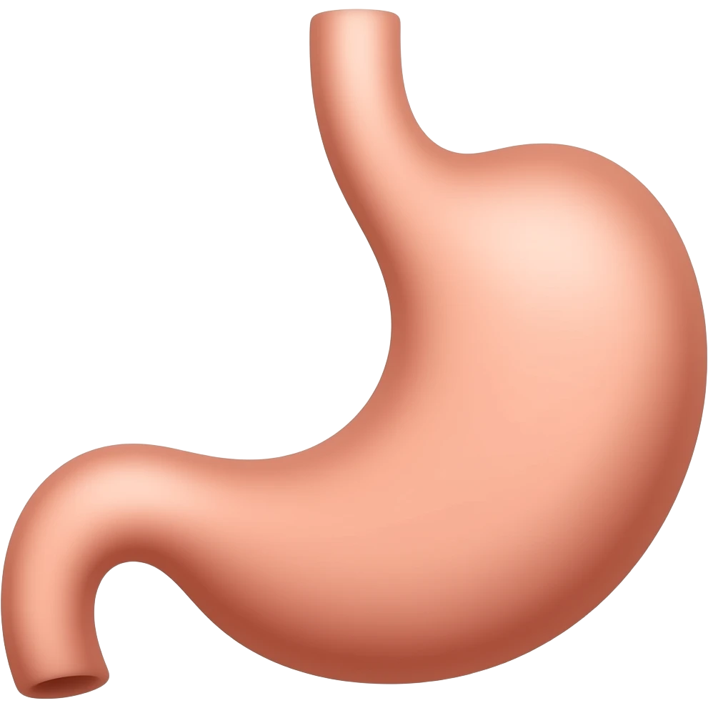 Stomach emoji