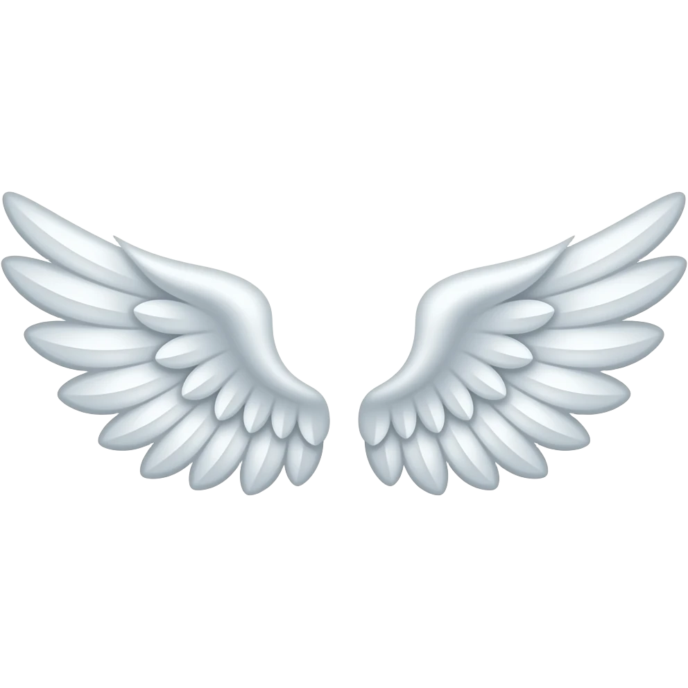 Two Wings emoji