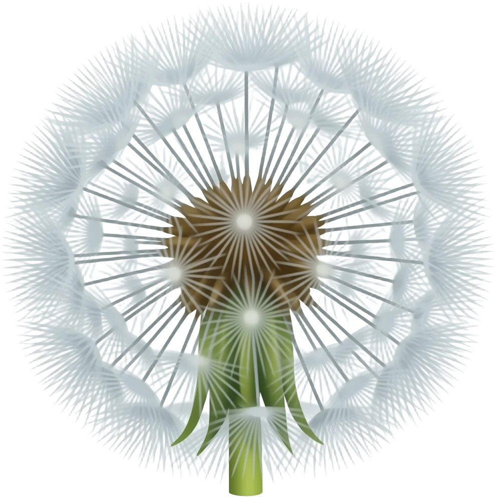 Dandelion emoji
