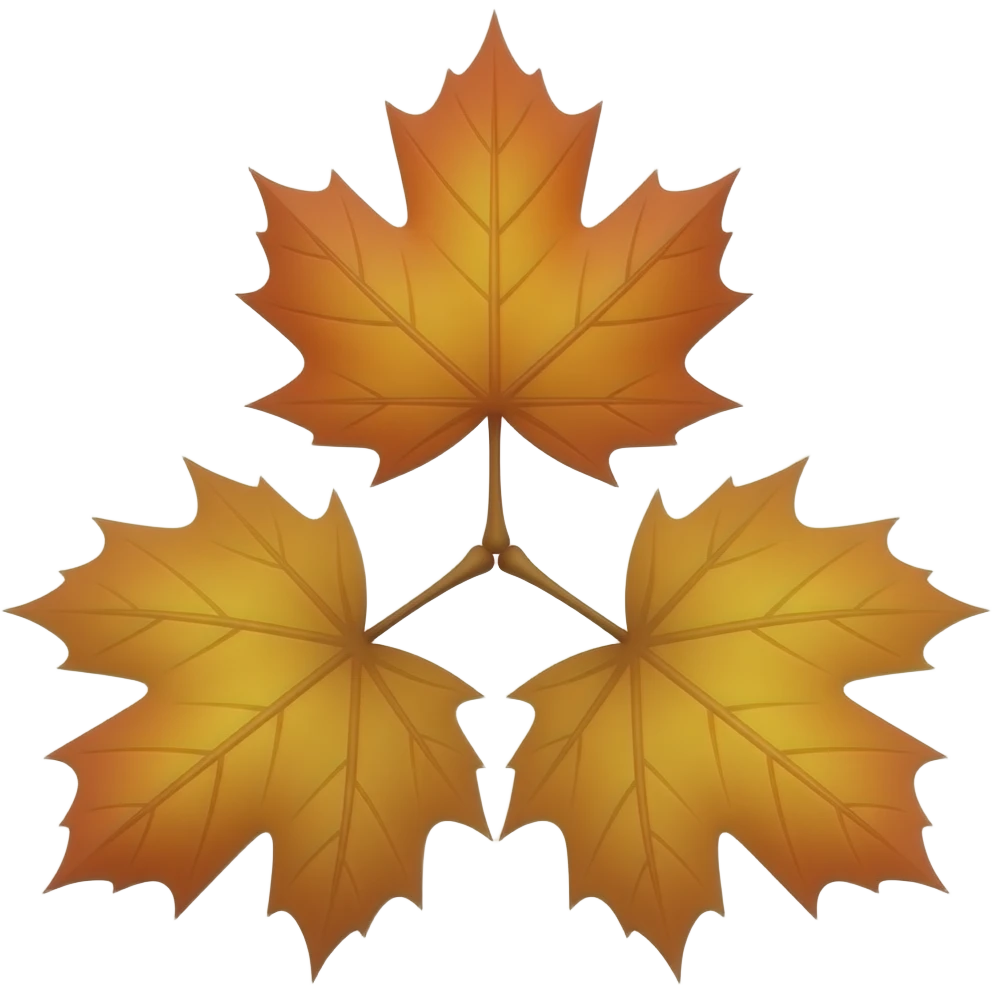 three maple leaves in shades of orange and yellow, arranged in a triangular formation against a white background. The leaves have prominent veins and a glossy finish, with their stems meeting at a central point. emoji