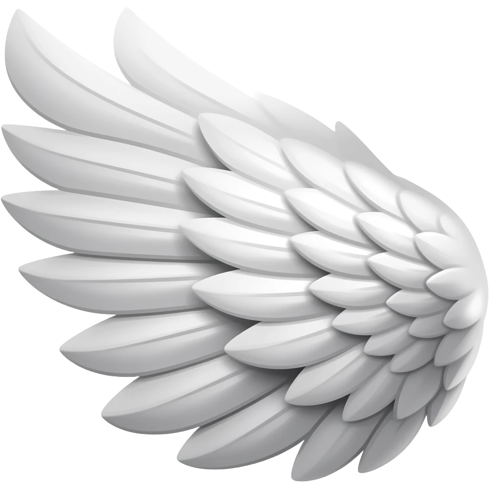 Wings left emoji