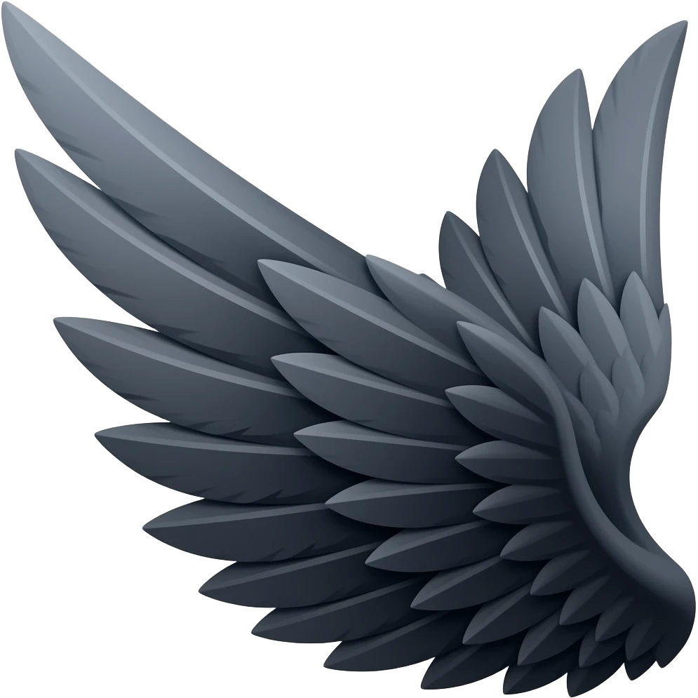 Black wing emoji