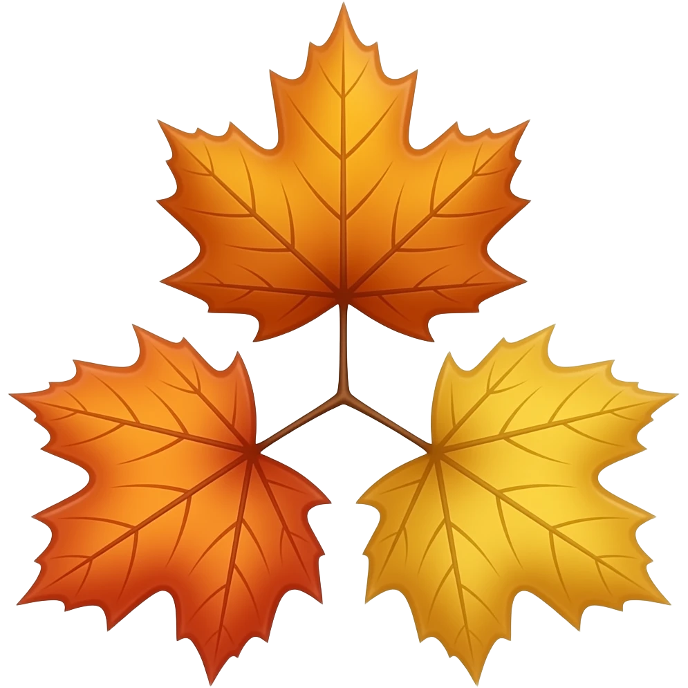 three maple leaves in shades of orange and yellow, arranged in a triangular formation against a white background. The leaves have prominent veins and a glossy finish, with their stems meeting at a central point. emoji