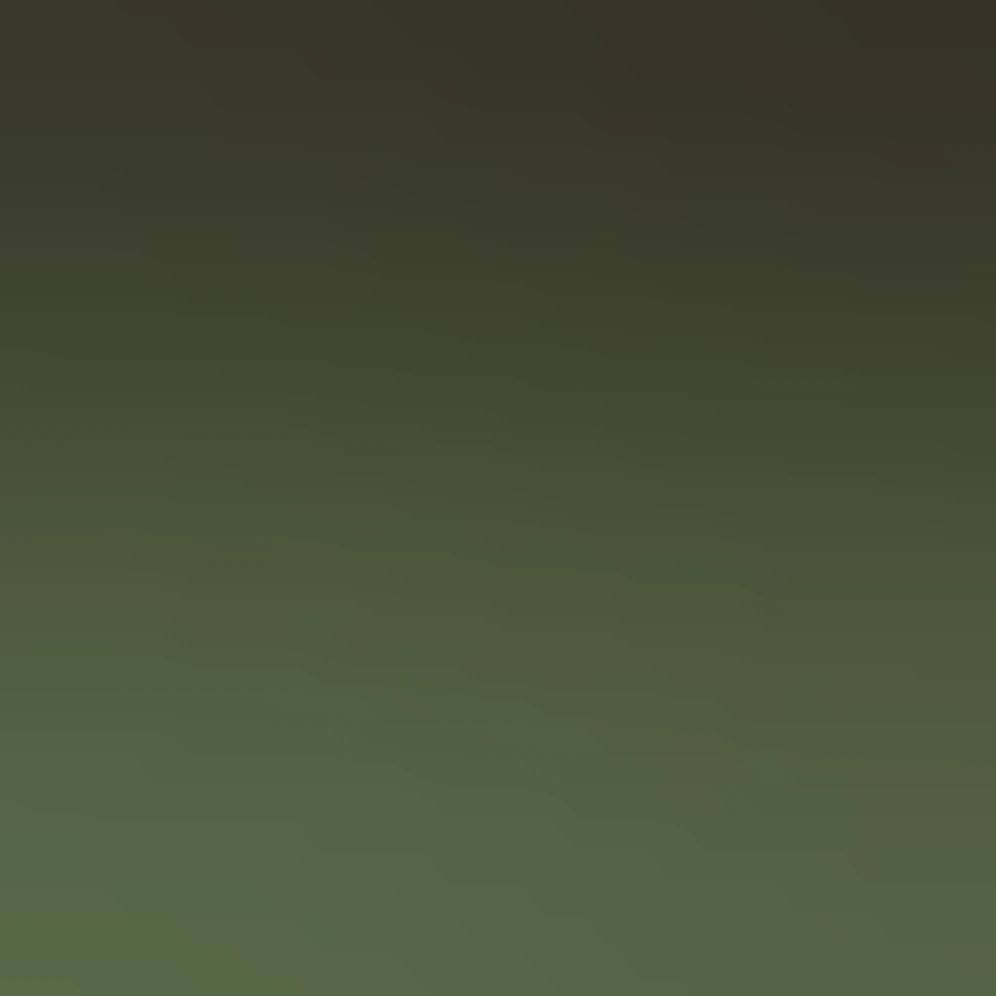 ultra realistic detailed dark green christmas tree with burgundy ...