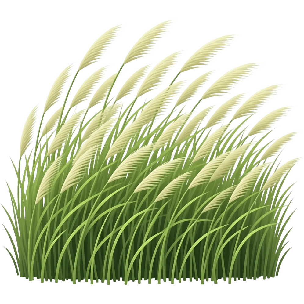 wind emoji