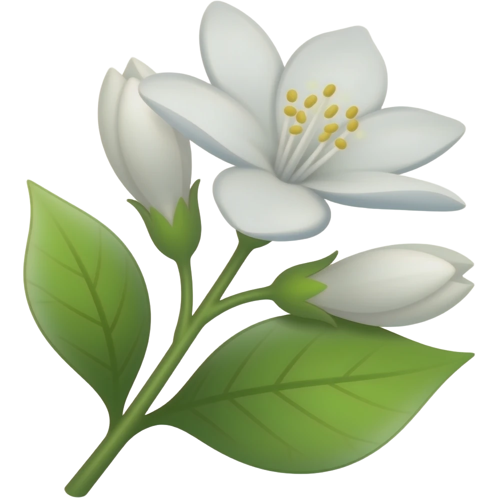 Jasmine flower emoji