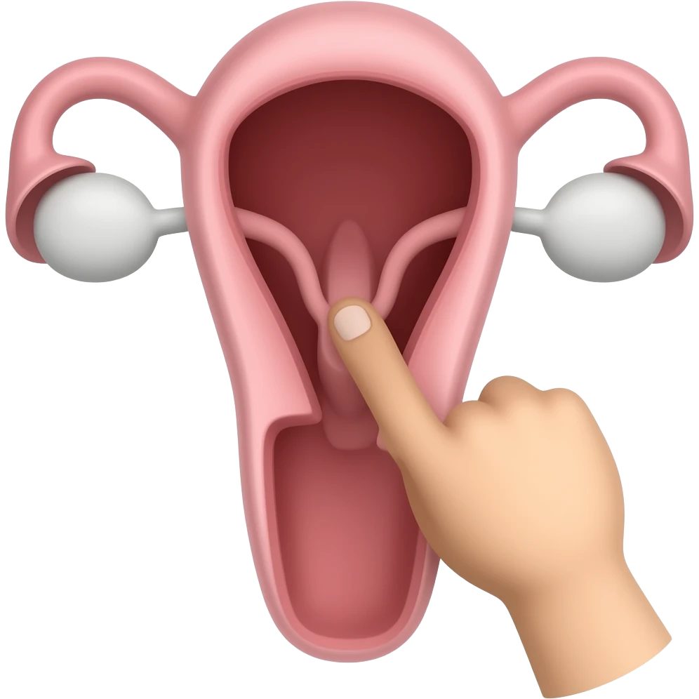 Penis in a vagina emoji