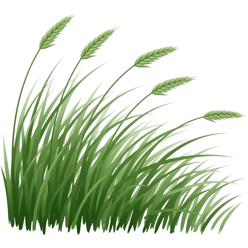 wind emoji