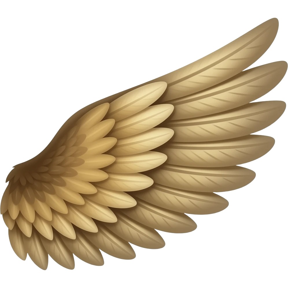 wing emoji