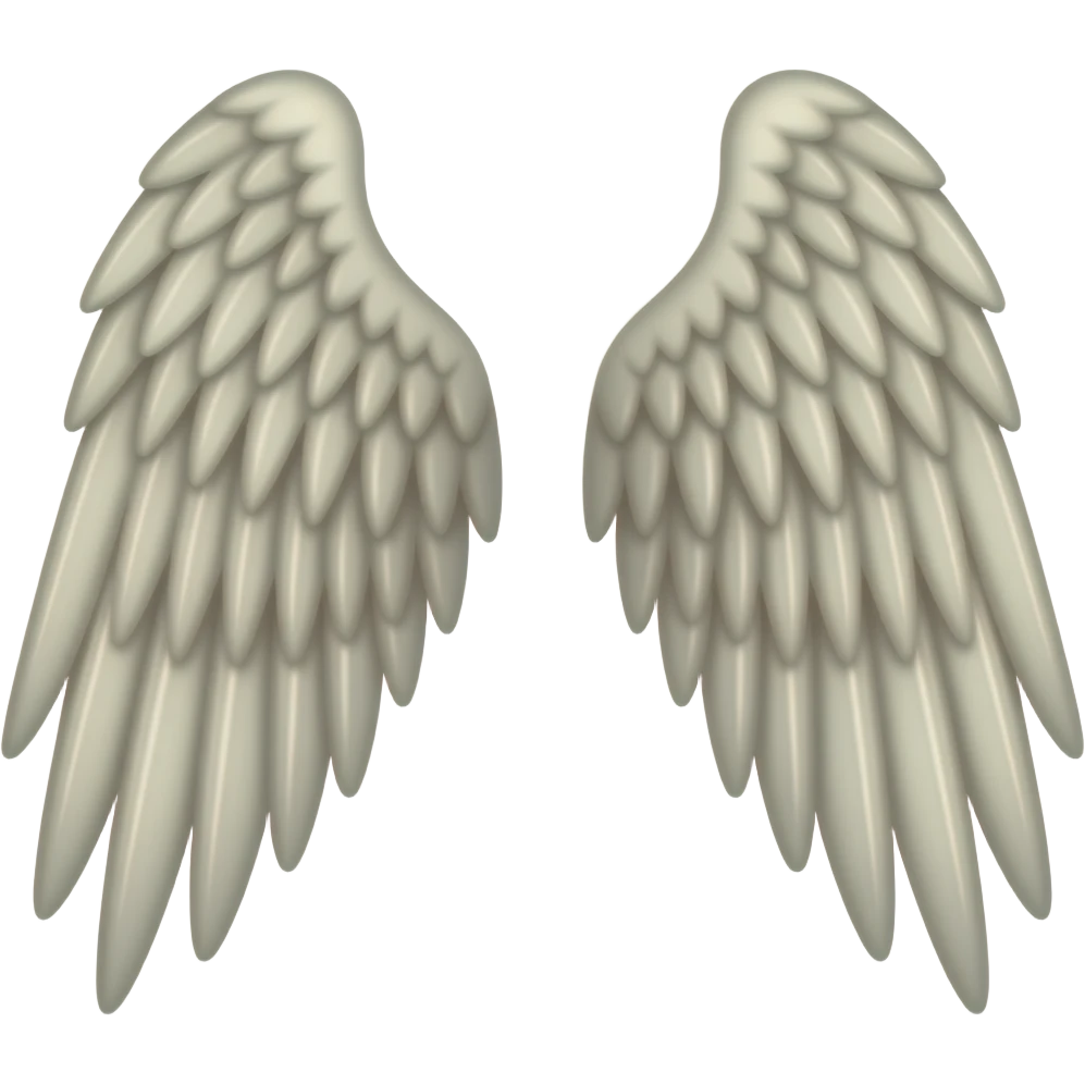 Two Wings emoji