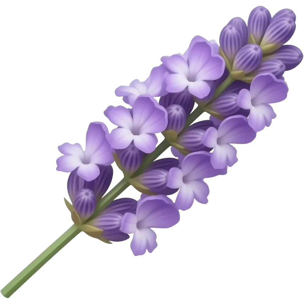 Lavender flower emoji