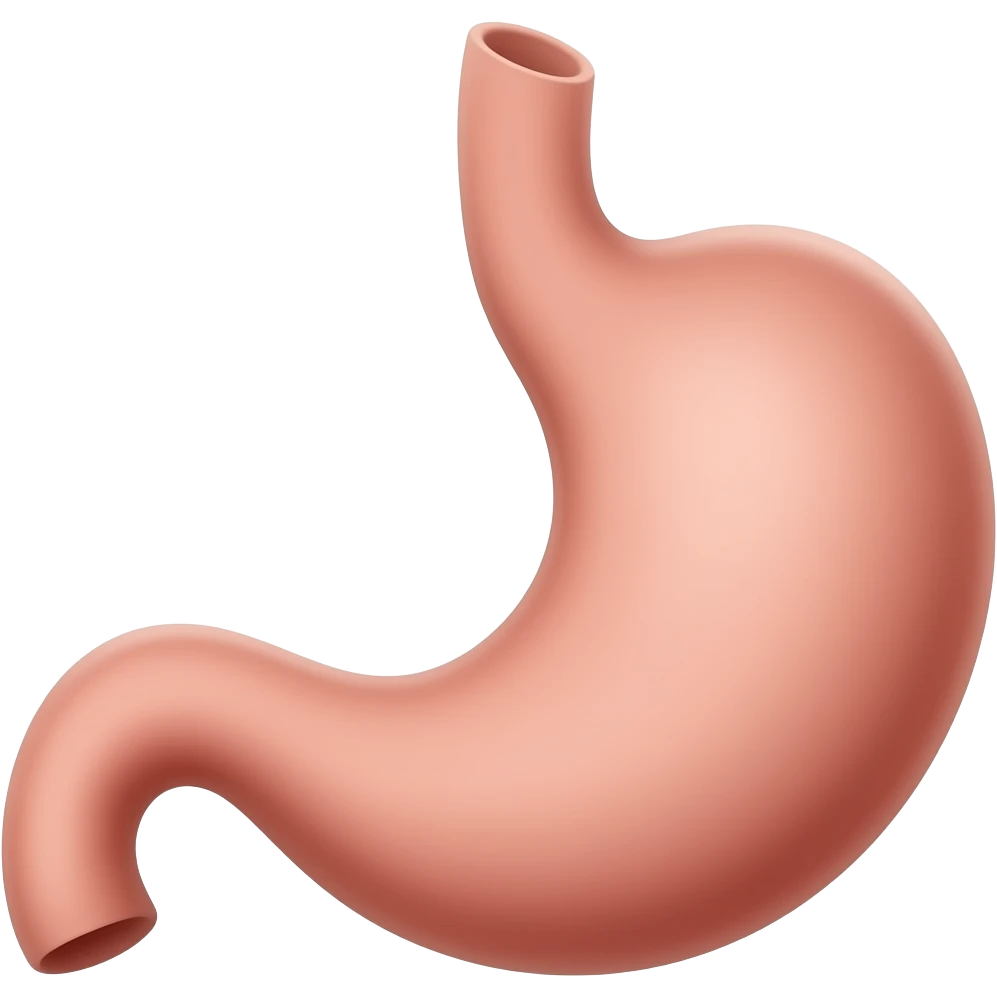 stomach emoji