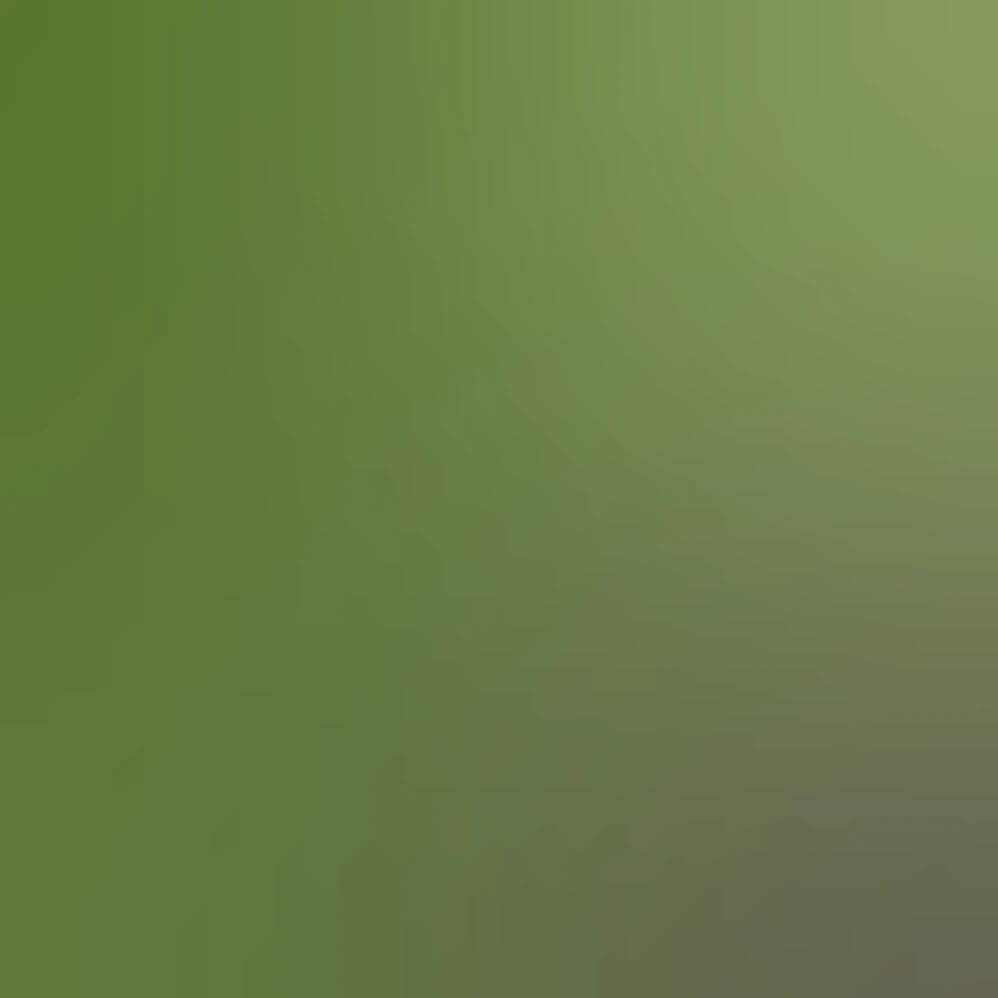wide rectangular grocery store green cardboard box of heathy granola ...