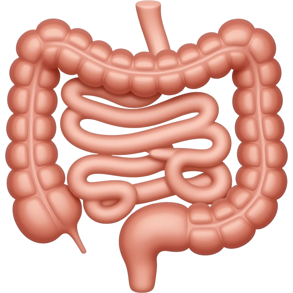 upper gi tract emoji
