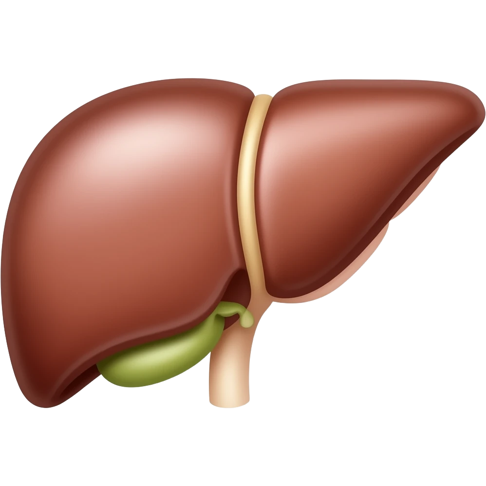 liver emoji