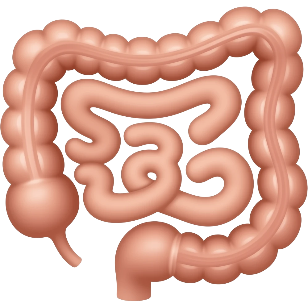 Small Intestines emoji