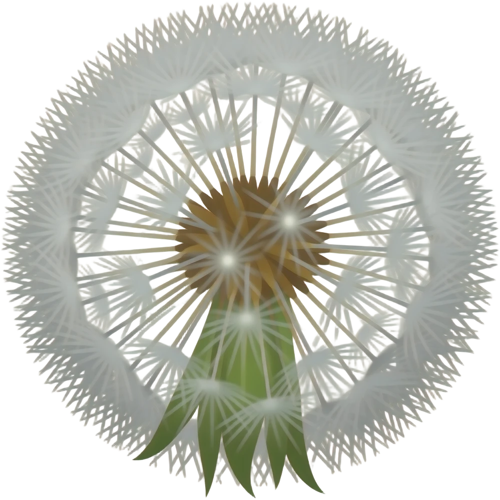 white dandilion emoji