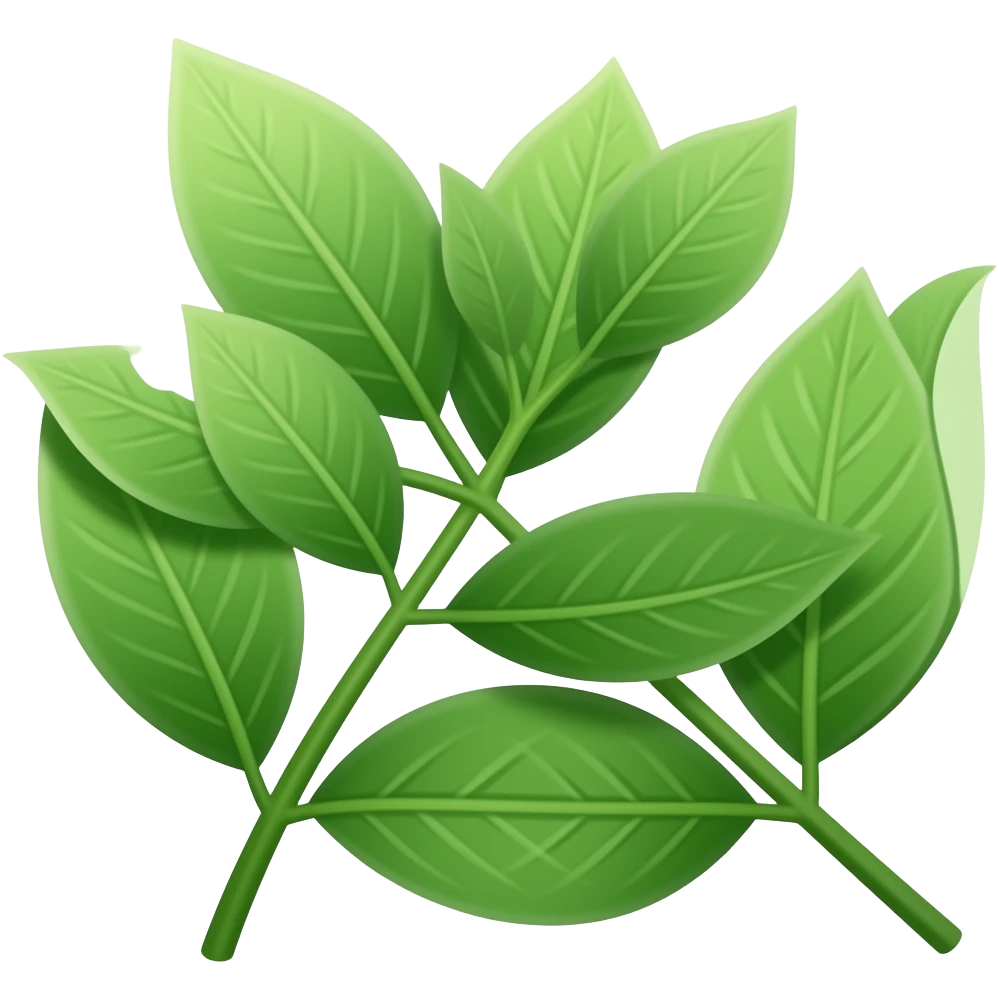 🌿 emoji
