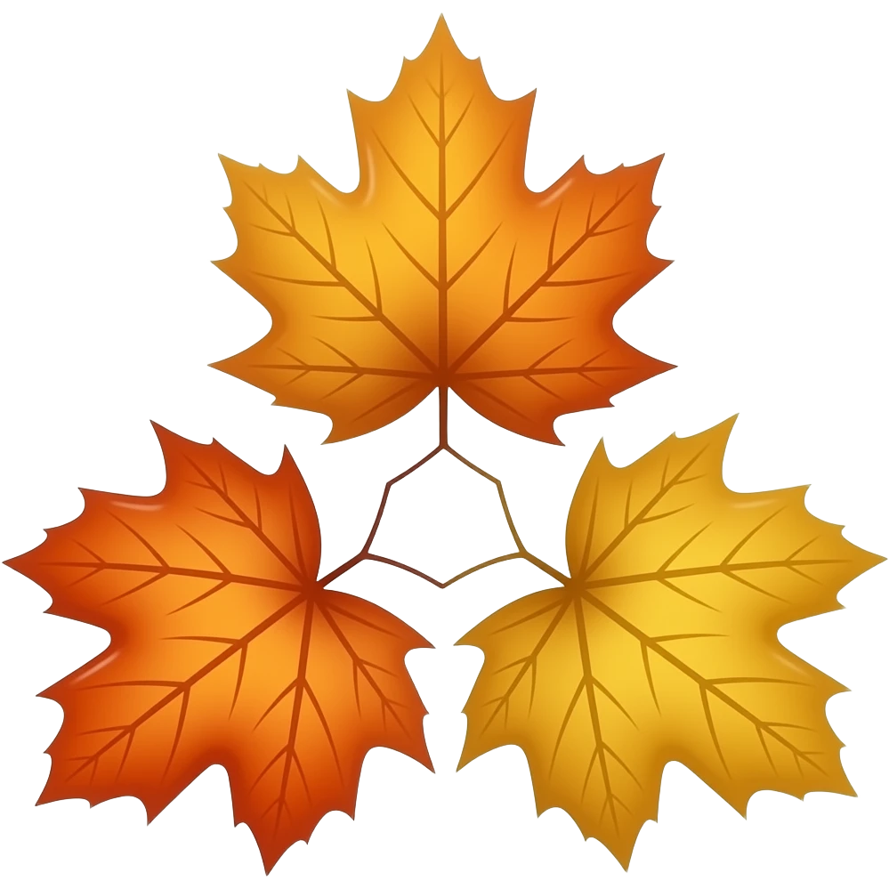 three maple leaves in shades of orange and yellow, arranged in a triangular formation against a white background. The leaves have prominent veins and a glossy finish, with their stems meeting at a central point. emoji