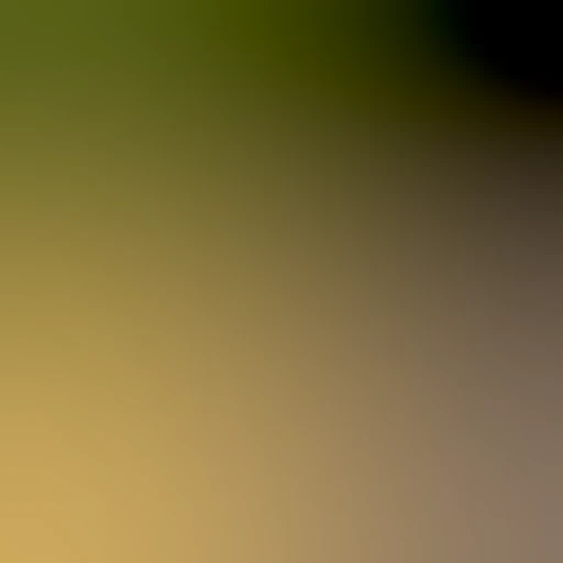 blurhash of the original image