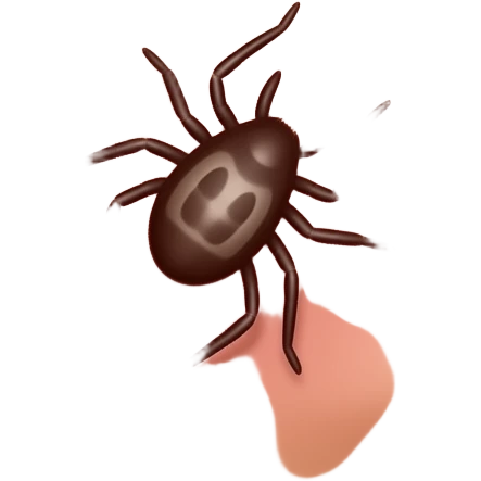 bullseye rash lyme disease emoji
