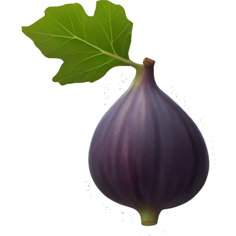 fig the fruit emoji