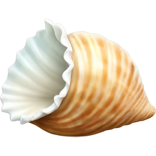 Seashell emoji
