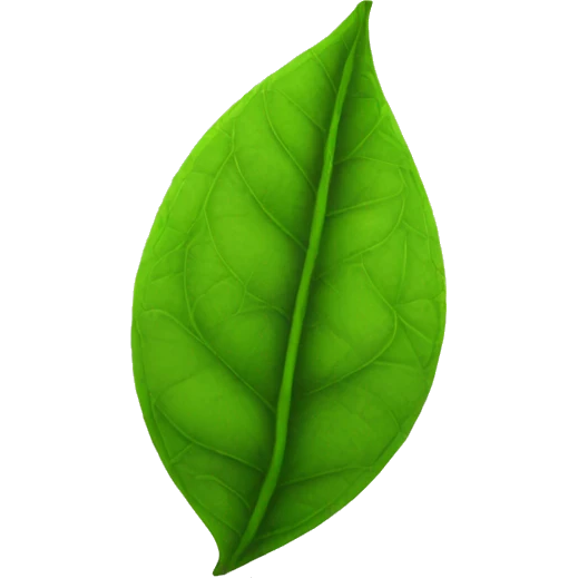 GREEN TEA LEAF emoji