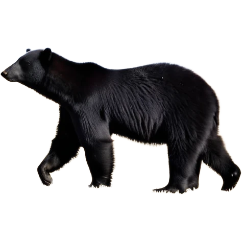 Siyah uzun saçlı siyah ceket  polar ceket ceket gevşek biraz omzundan çıkıyormuş gibi ve bugday ten rengi soltaraftaki omzundan çıkık sadece içinde de siyah crop var crop açık esmer esmer ceketin içinde siyah crop var be cropta omzuna bağlı ceketin sol üstü omzunun istinde emoji