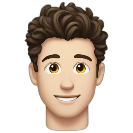 Shawn mendes emoji