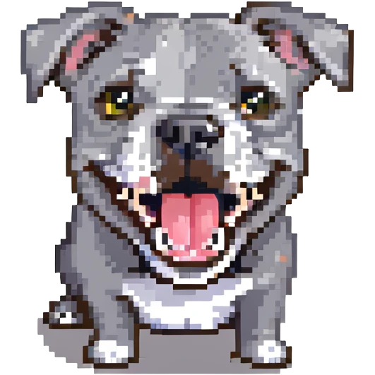 round circle puppy head full grey bleu staffy, big open mouth, big tongue out, stupid expression emoji