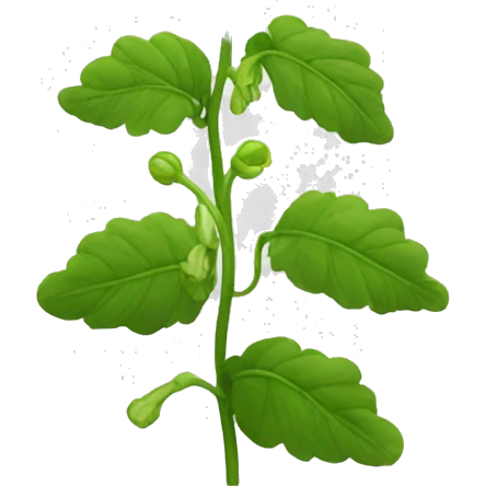 bells of ireland flower emoji